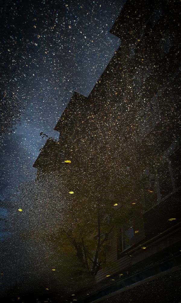 Photograph by Анастасия Трофимовская