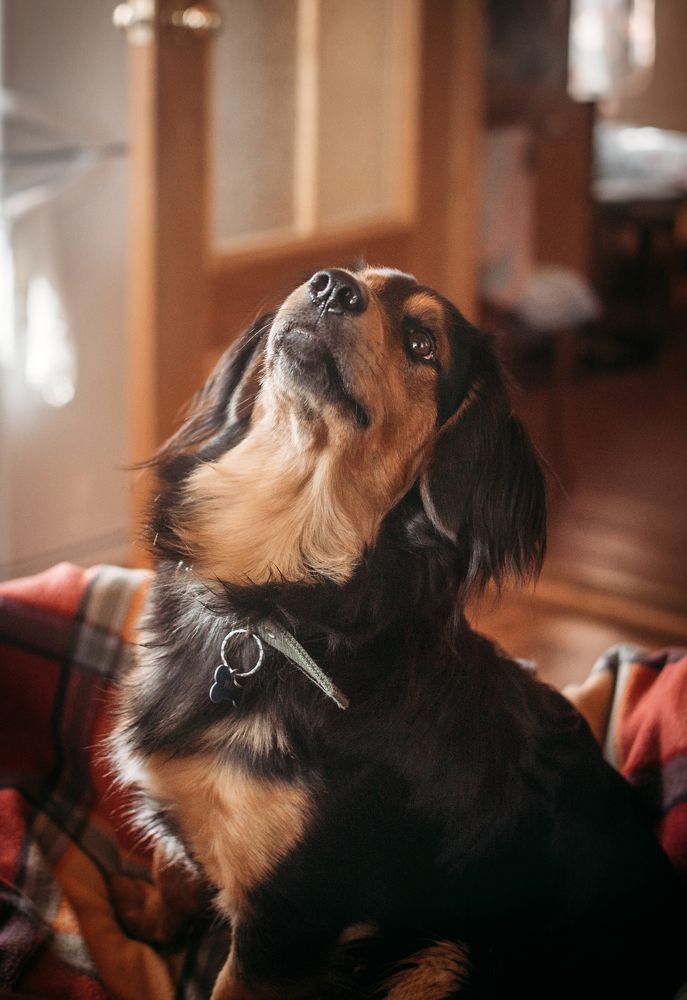 Малыш Макс на даче