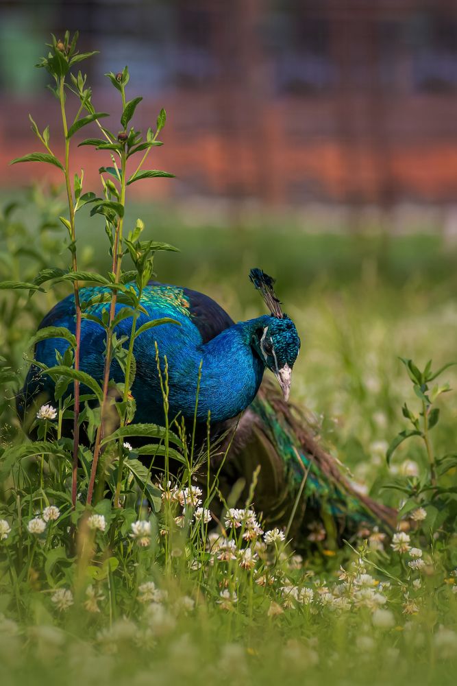 Photograph by Светлана