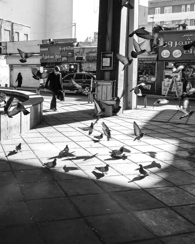 Photograph by Sahar Jafari