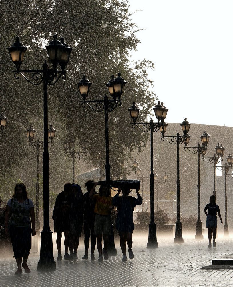 Photograph by Диана Арье