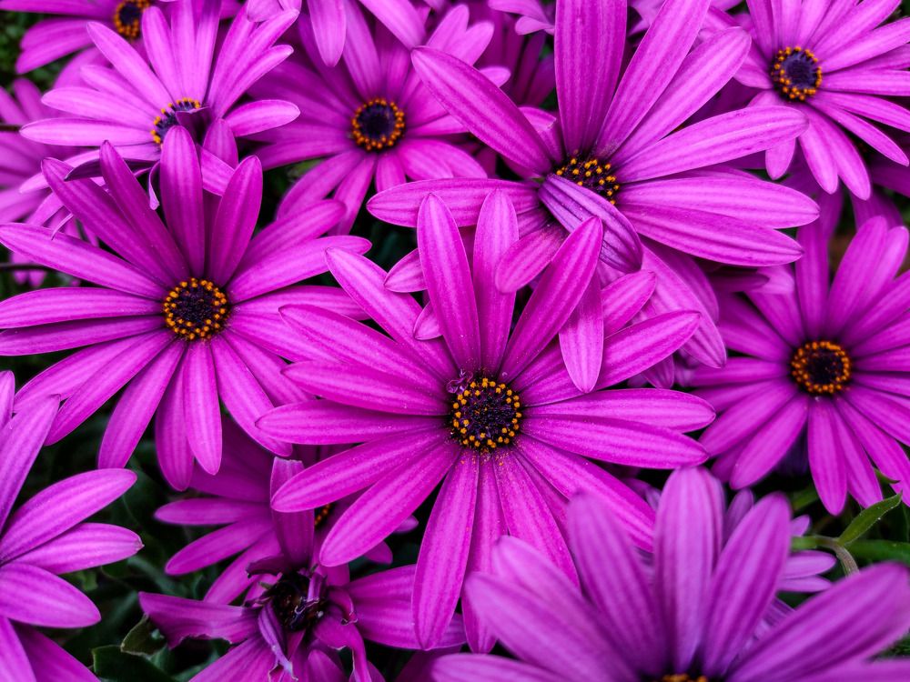 Photograph by Jear Cautivar