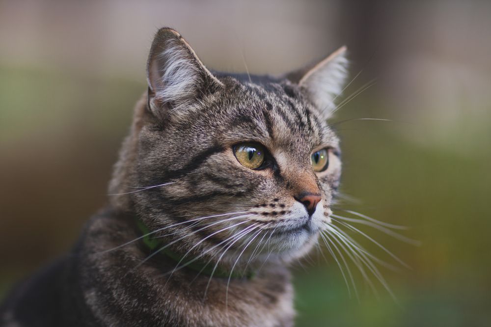 Photograph by Мария Ковалевская