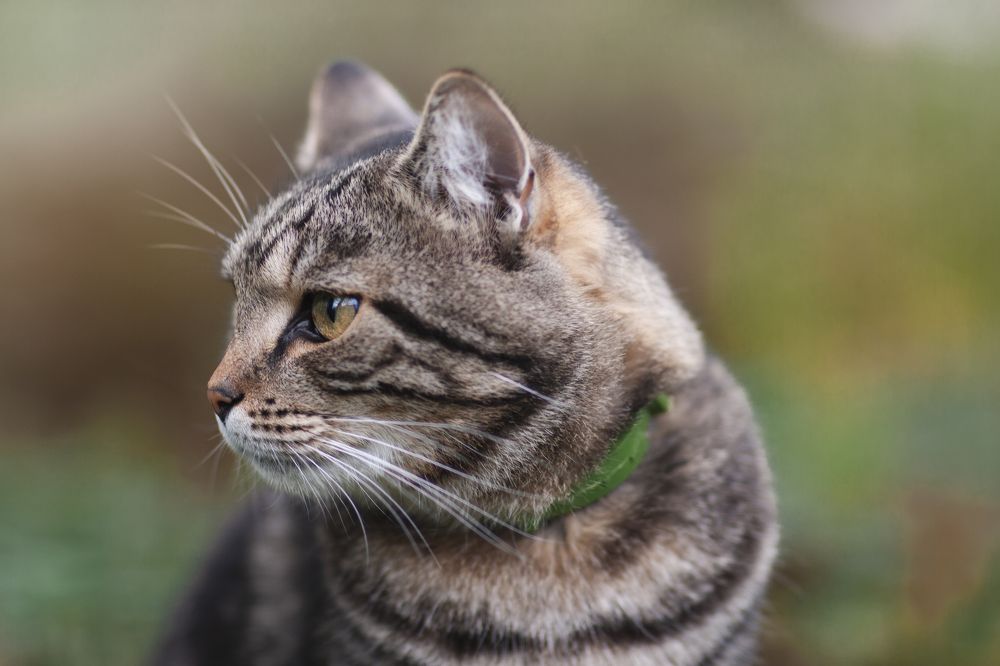 Photograph by Мария Ковалевская