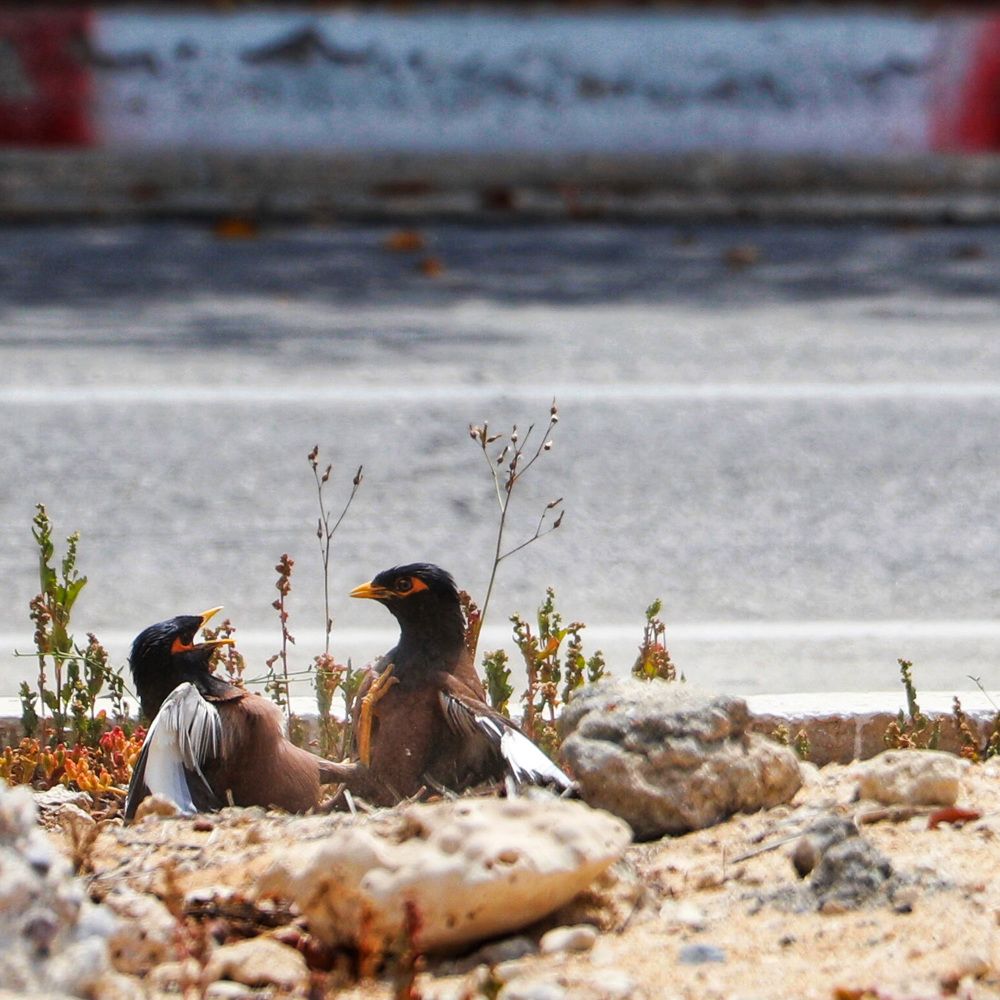 Photograph by Tina ranjbar