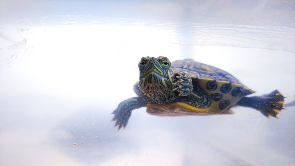 Photograph by Marvin Daniel Marroquin Najera