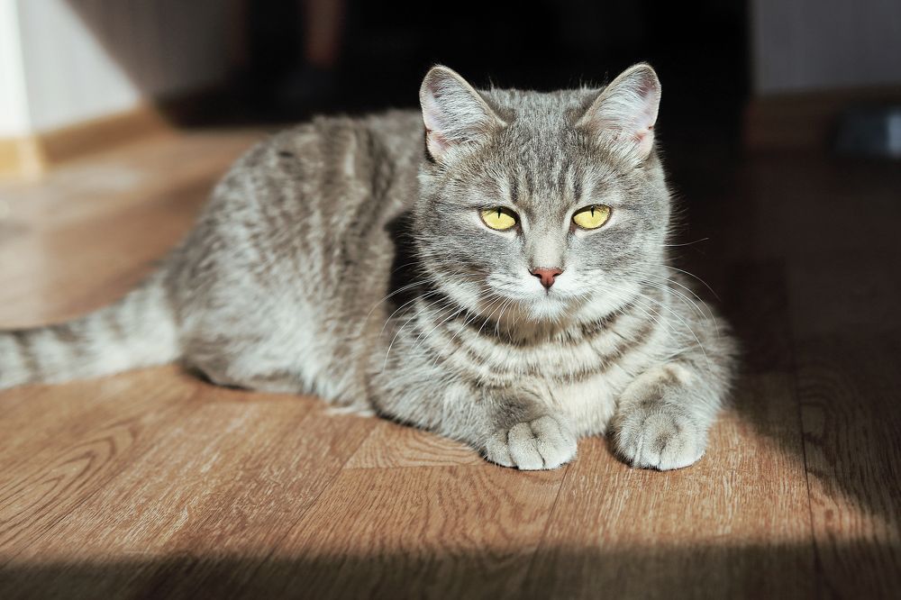 Photograph by Вера Дымова