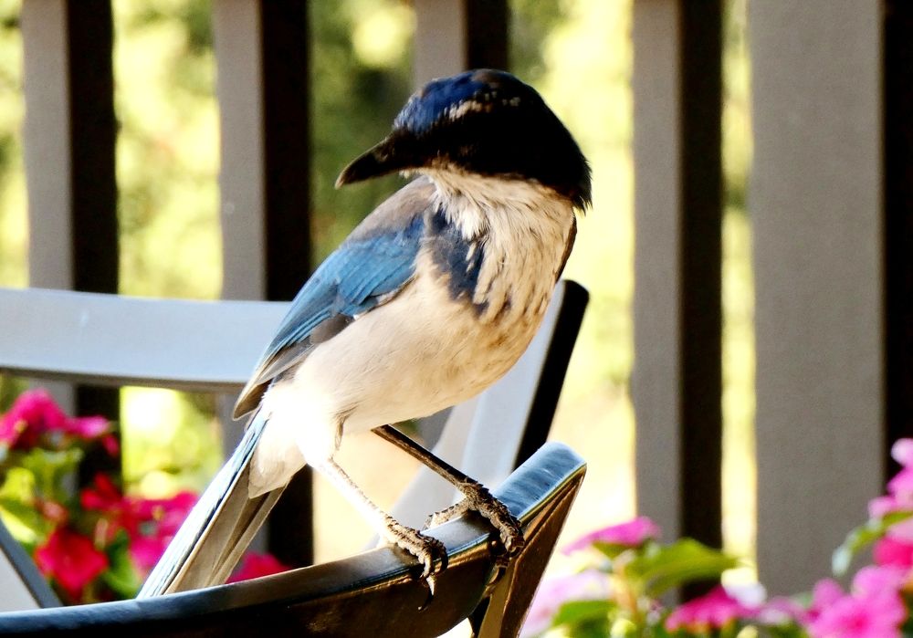 Photograph by Michelle Vaughn