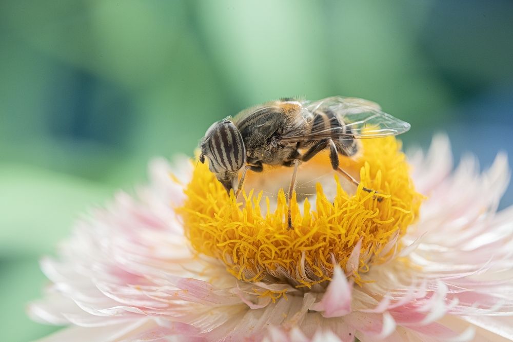 Photograph by 林汝貞