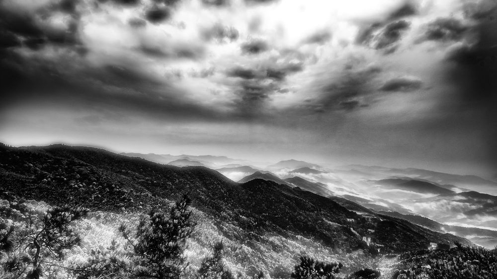 Photograph by Brightman Mitra