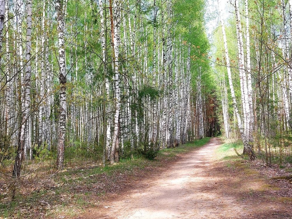 Фотография автора Елена Колосова