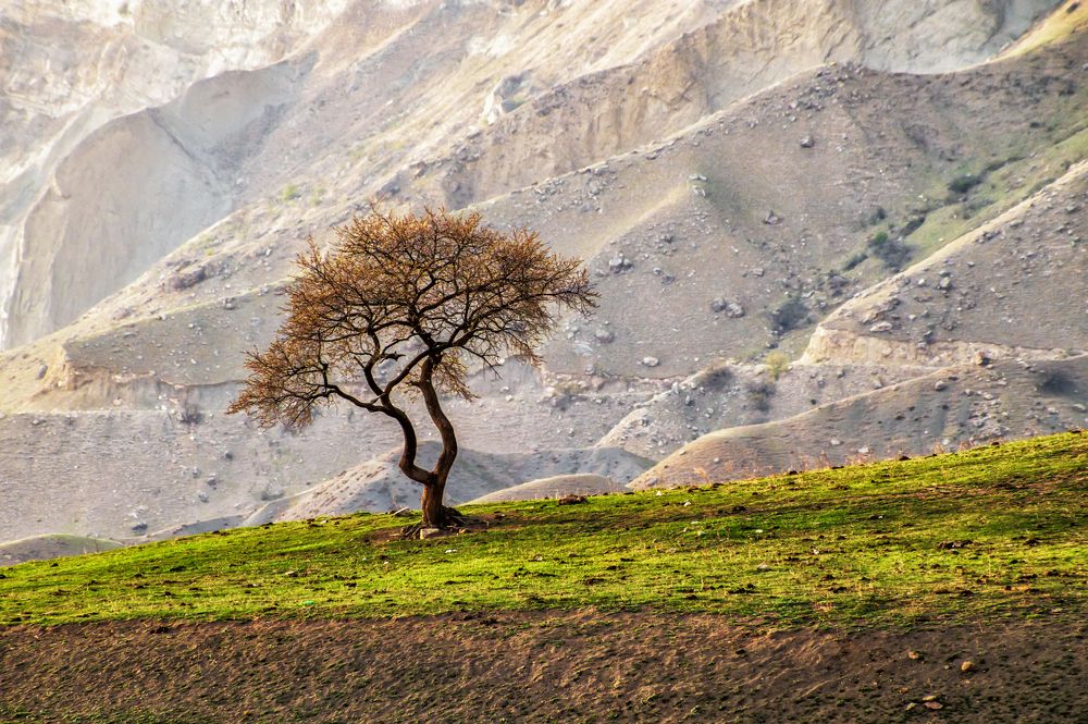 Весна в Дагестане