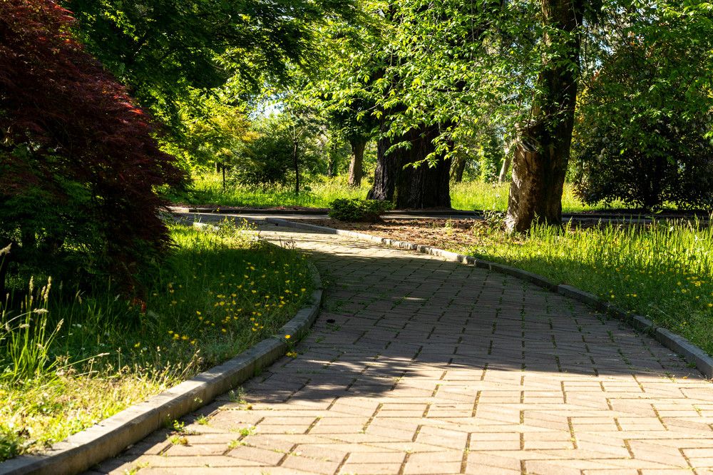 Аллея в ботаническом саду