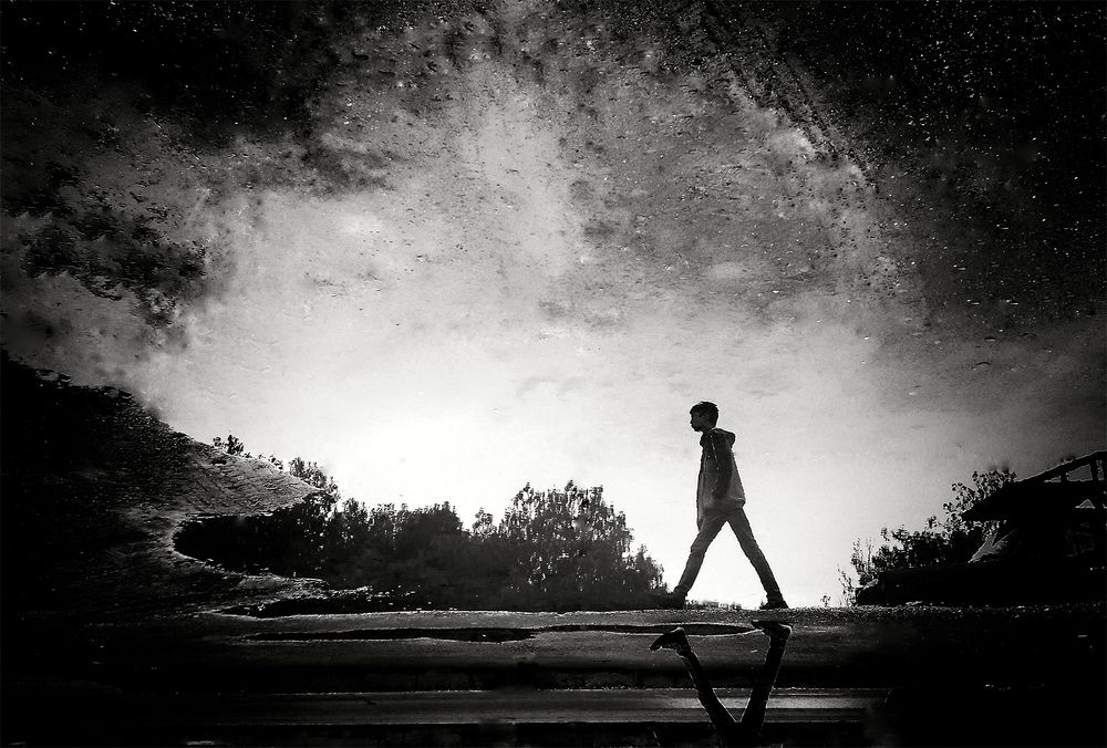 Photograph by Neda Kazemifard