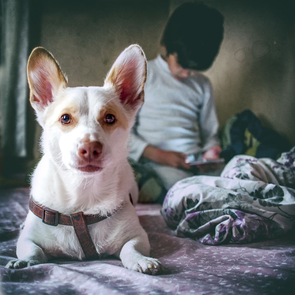 Photograph by DAMOUN POURNEMATI