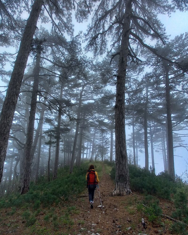 Photograph by Виктор Чернышов