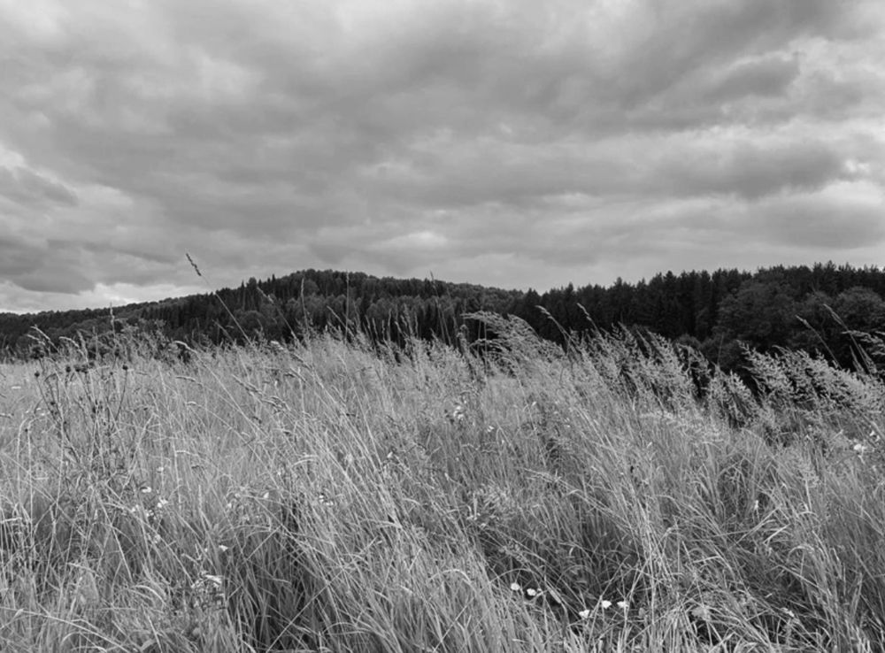 Photograph by Полина Ерофеева