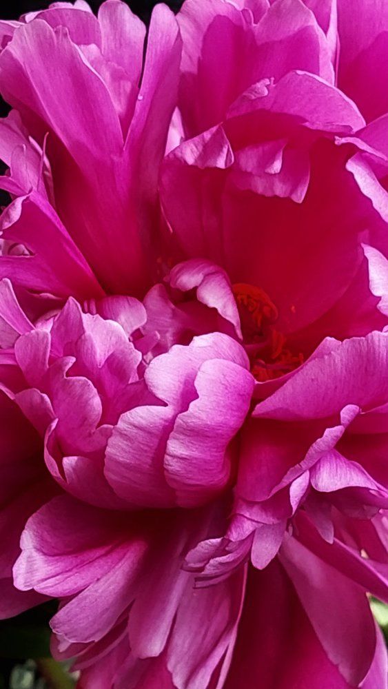 Photograph by Светлана Усатенко