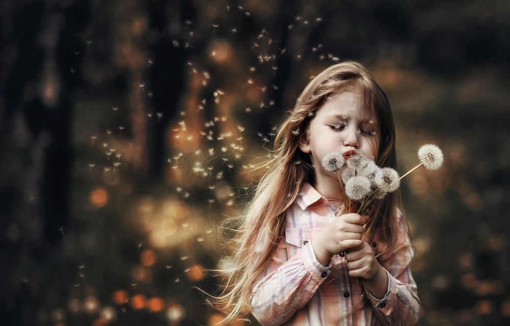 Photograph by Andrew Oksamyt