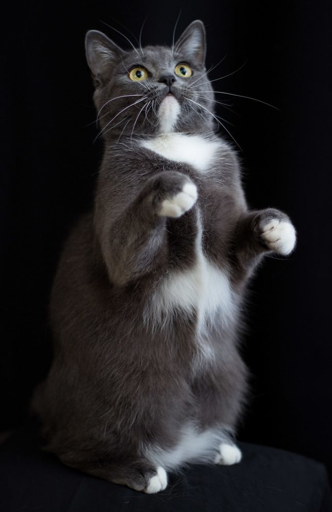 Photograph by Тамара Аржанова