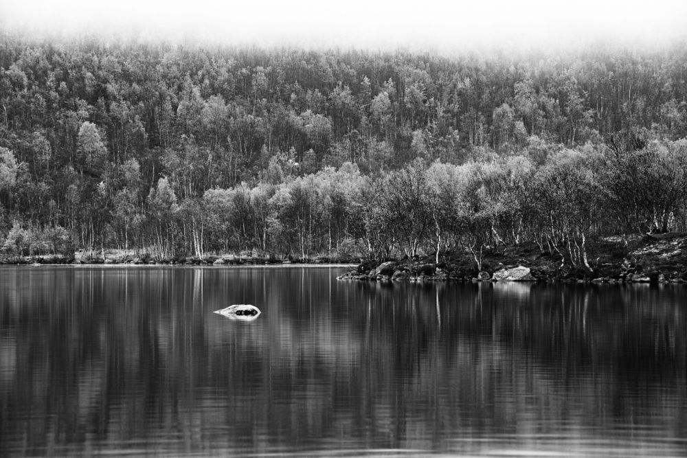 Photograph by Матвей Кармаков