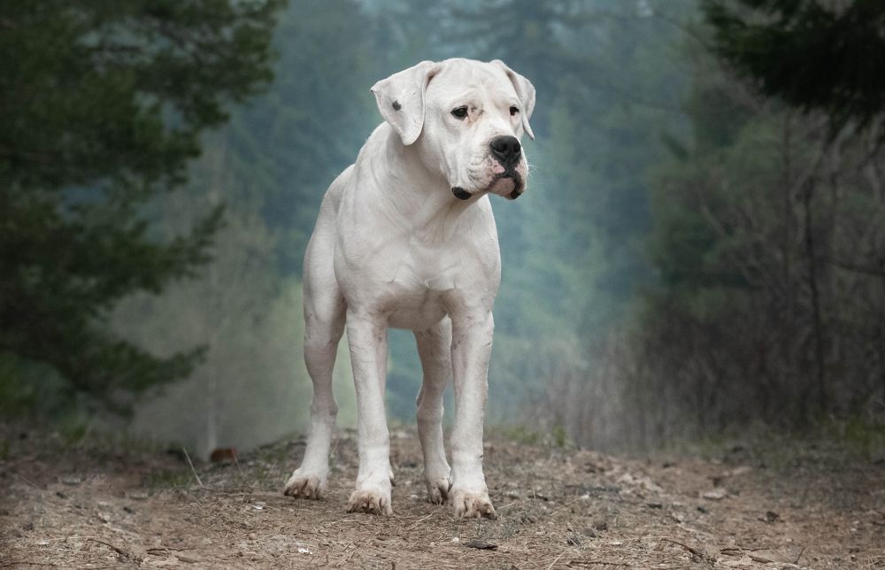 Photograph by Дина Колдомова