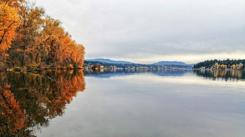 Photograph by Lavlad L