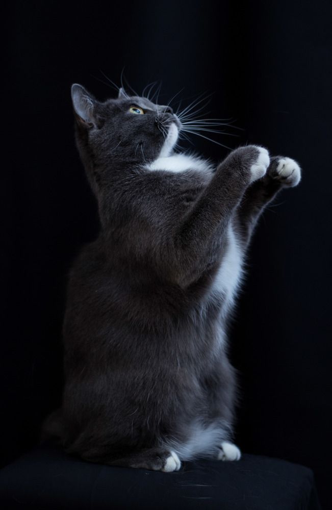 Photograph by Тамара Аржанова