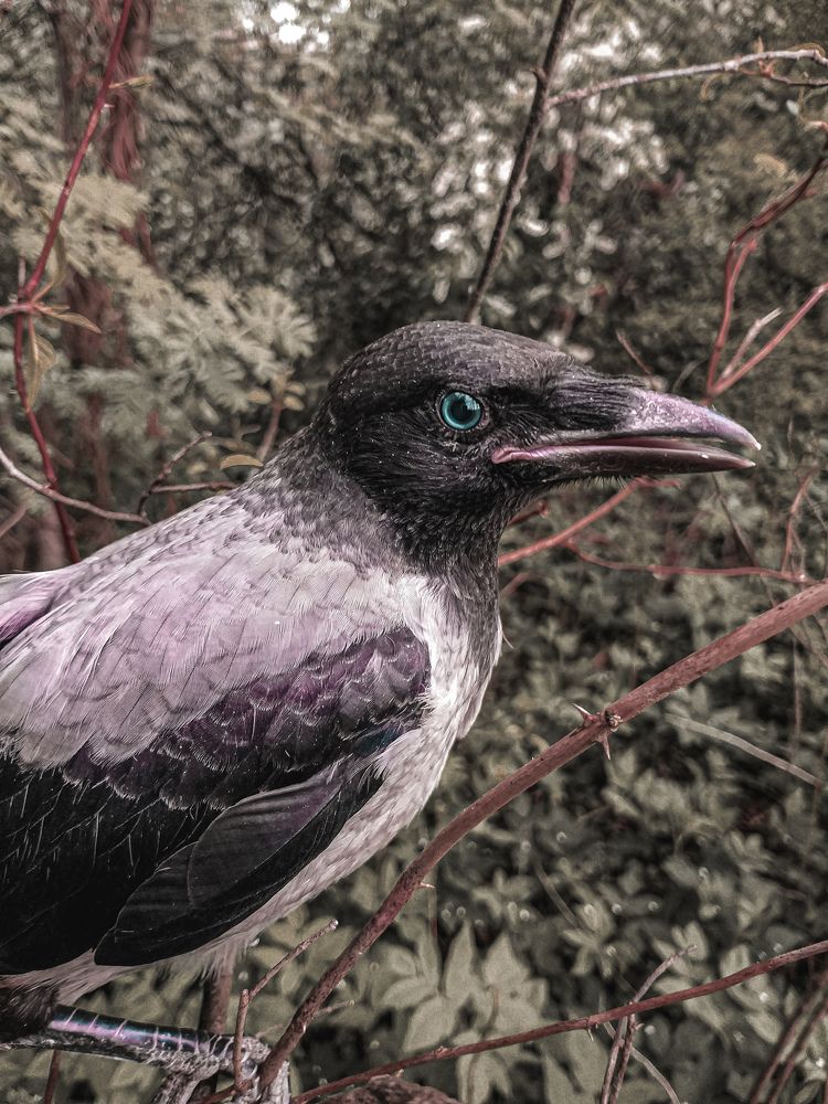 Photograph by Наташа Черепенина