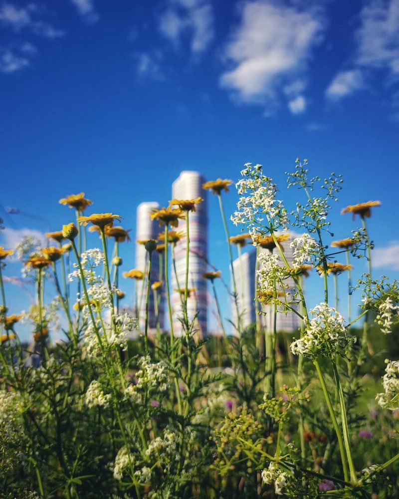 Photograph by Вячеслав Щёголев