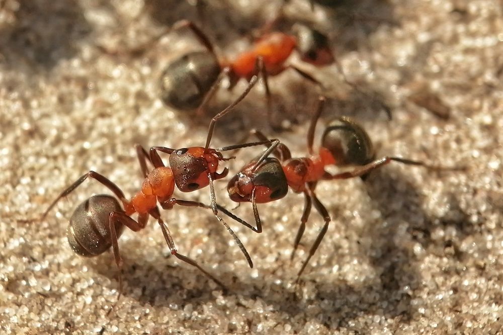 Photograph by Lavlad L