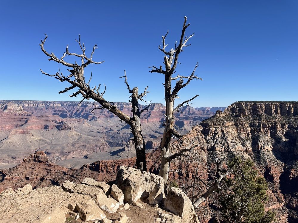 Photograph by Lavlad L