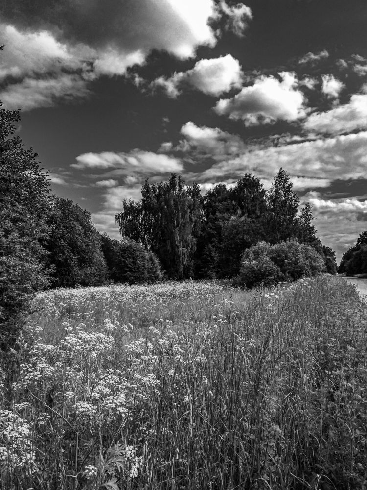 Photograph by Наташа Черепенина