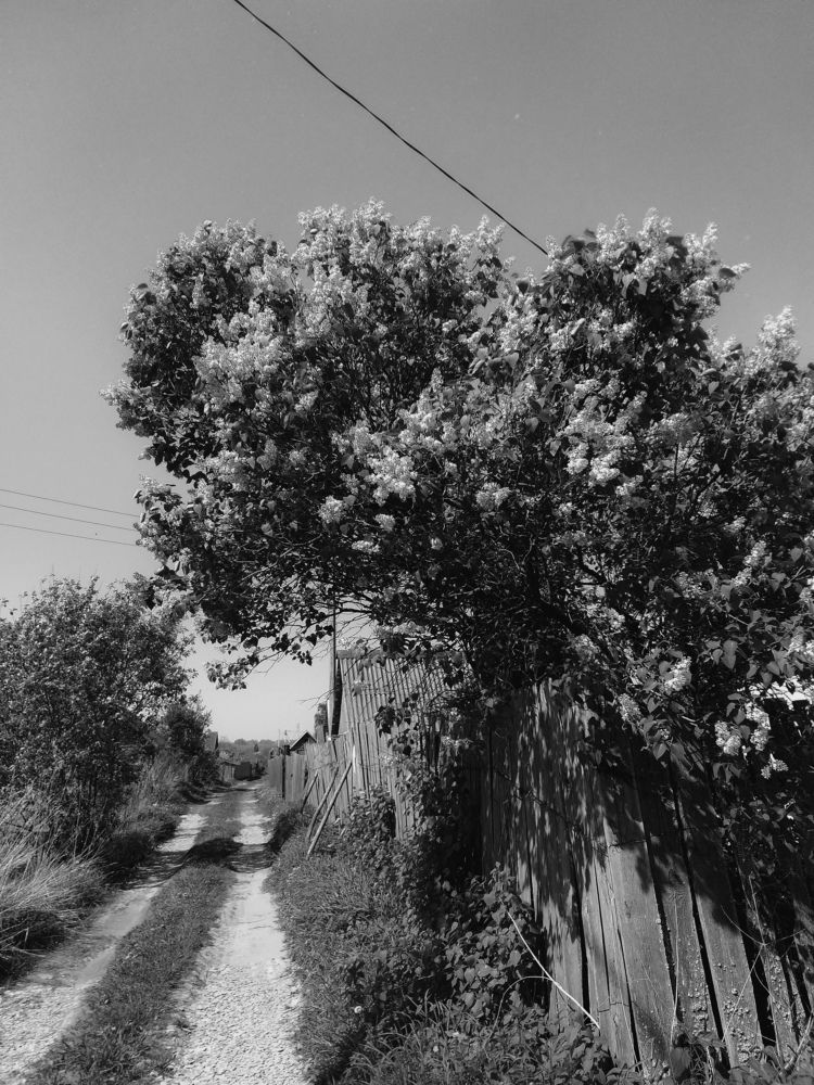 Photograph by Наташа Черепенина