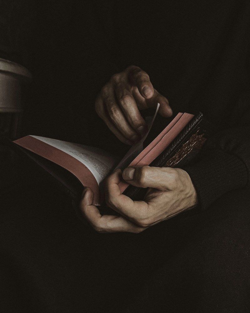 Photograph by Elena Novikova