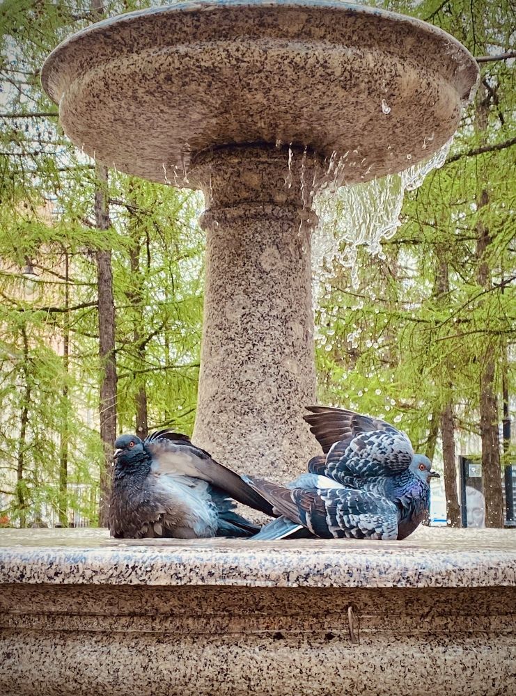 Photograph by TATIANA SHOSTAKA