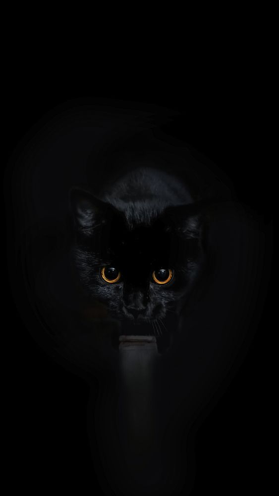 Photograph by Денис Шамров