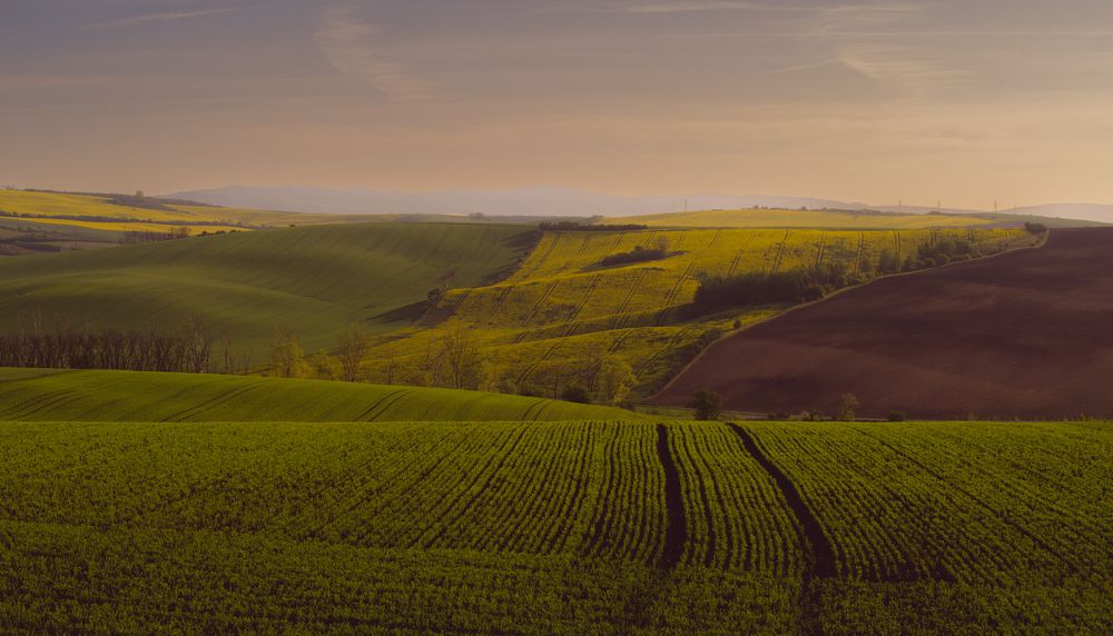 Photograph by Budyta Dariusz