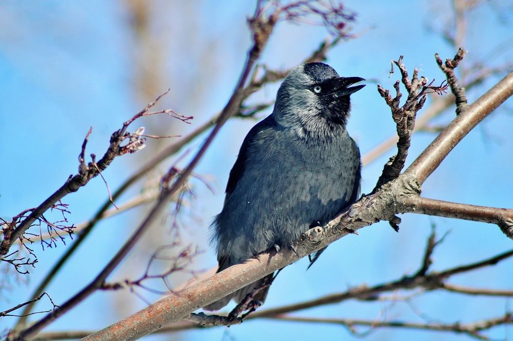 Photograph by Анна Восковых