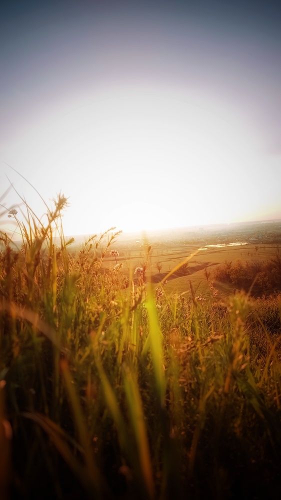 Photograph by Максим Аничкин