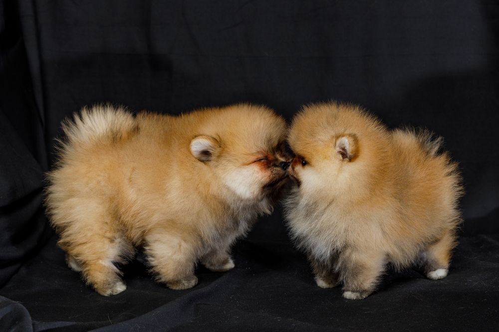 Фотография автора Александр Леонтьев