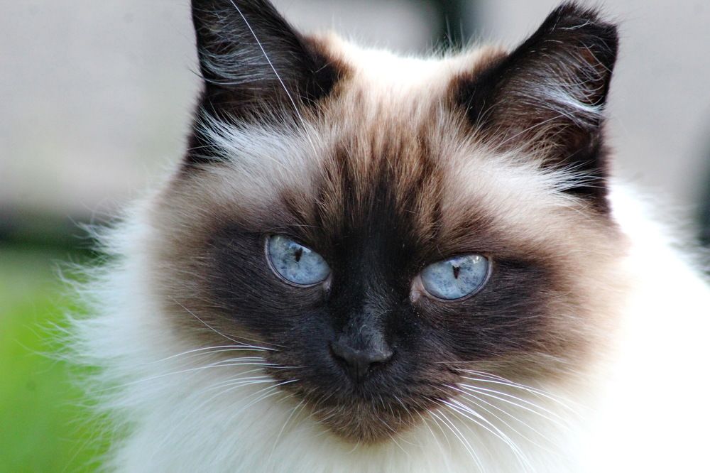 Photograph by Николай Николаевич Леухин