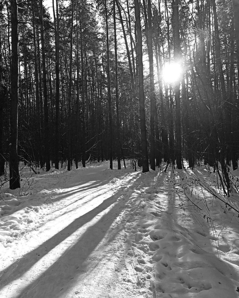 Photograph by Светлана Барабанова