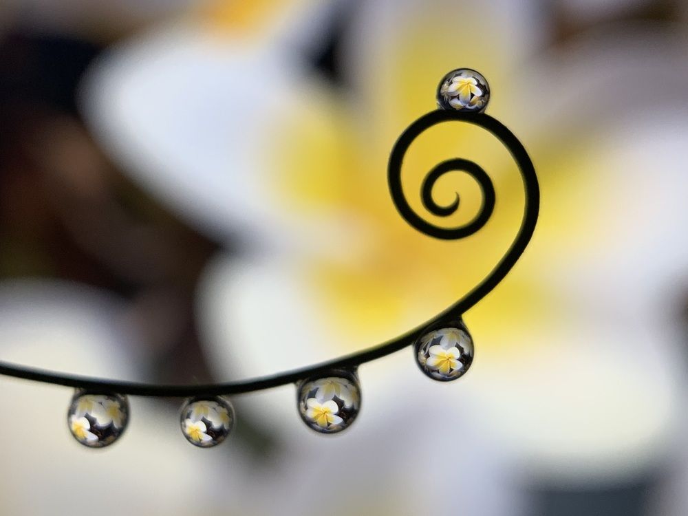 Photograph by Дмитрий Костяков