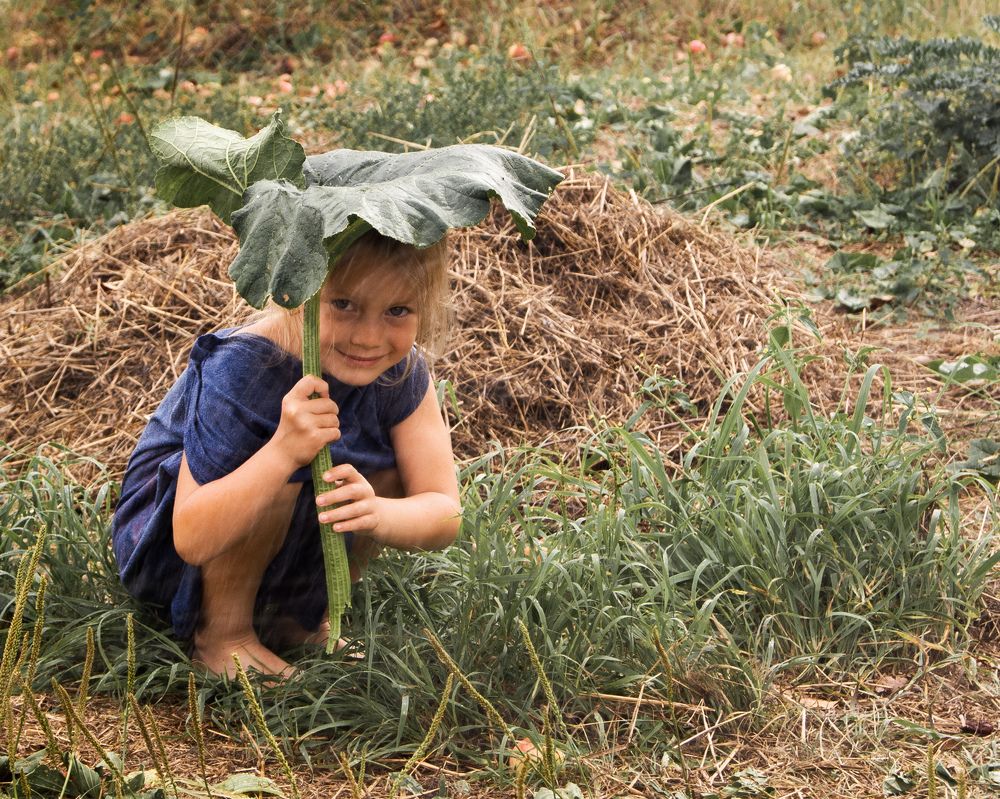Photograph by Светлана Моисеева