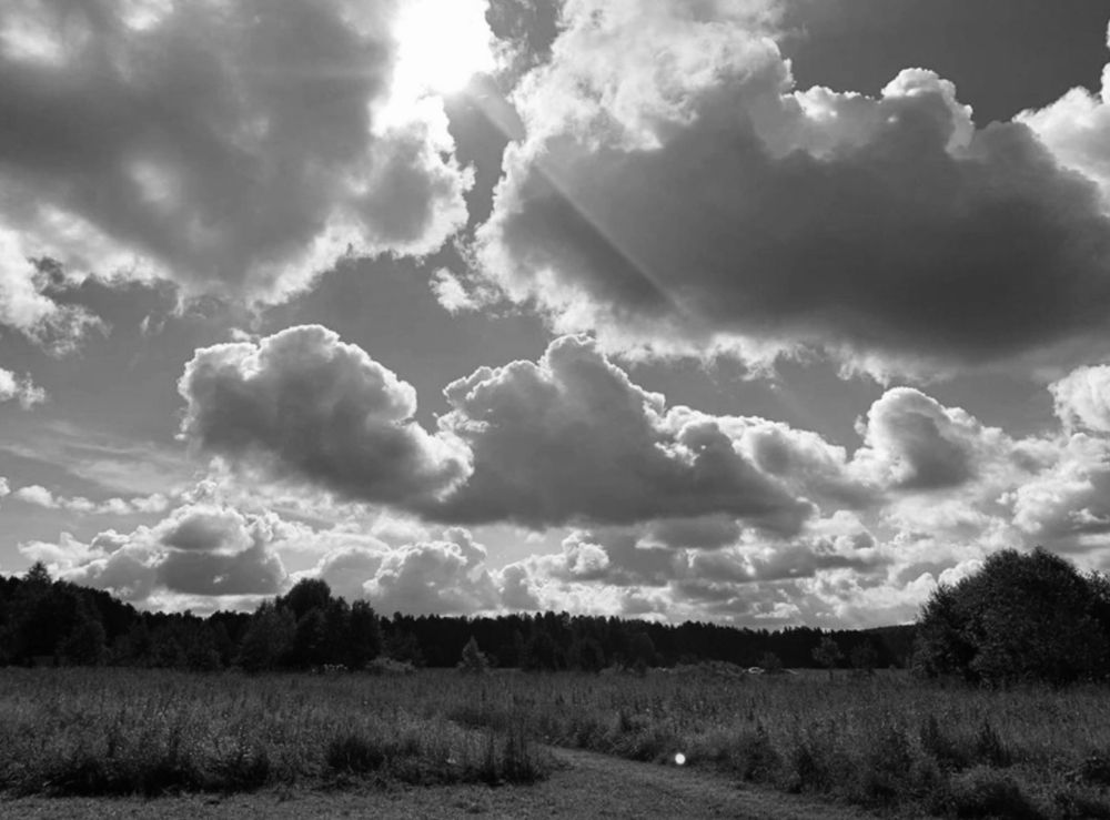 Photograph by Полина Ерофеева