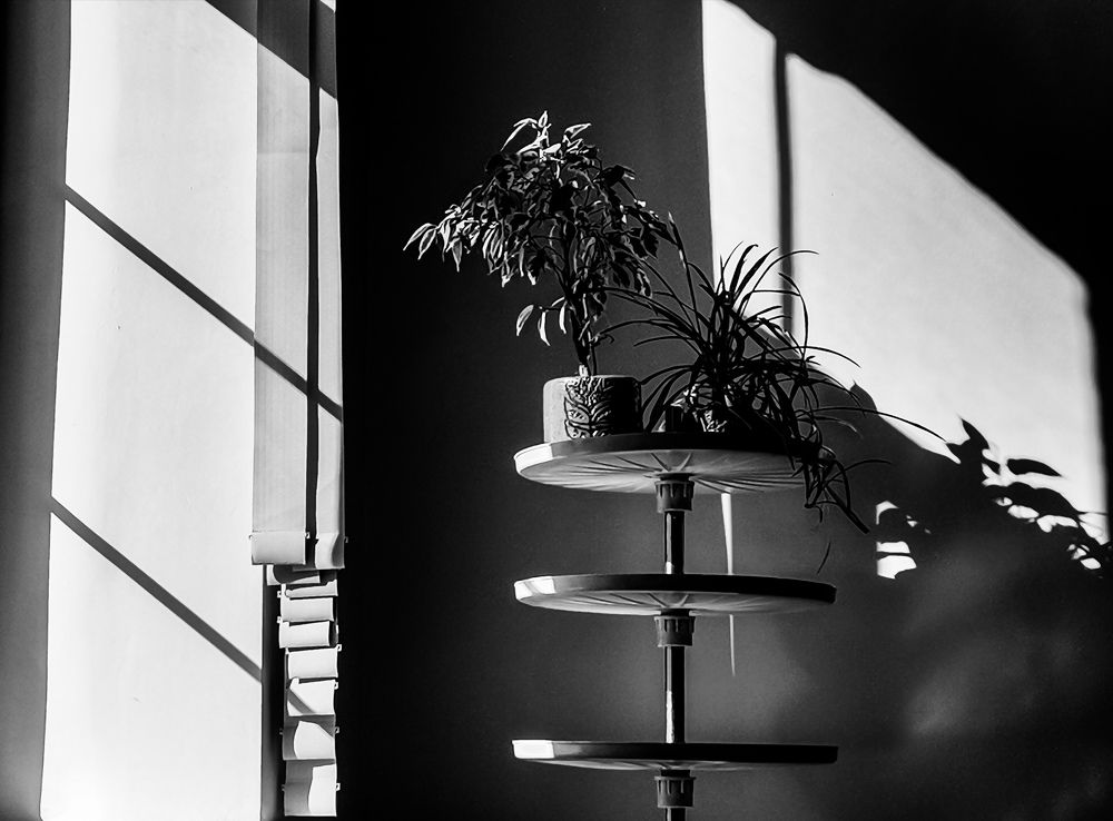 Photograph by Маргарита Савченко
