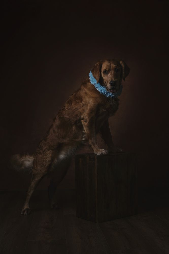 Фотография автора Natalja Bindere