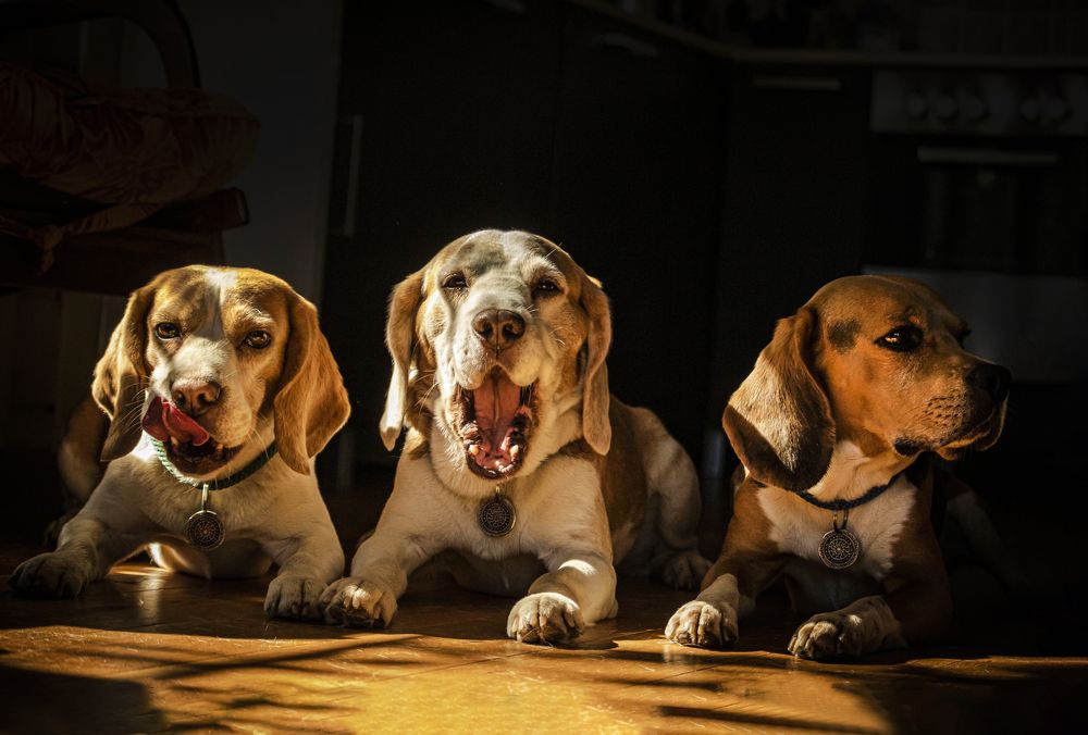 Photograph by Юлия Куликова