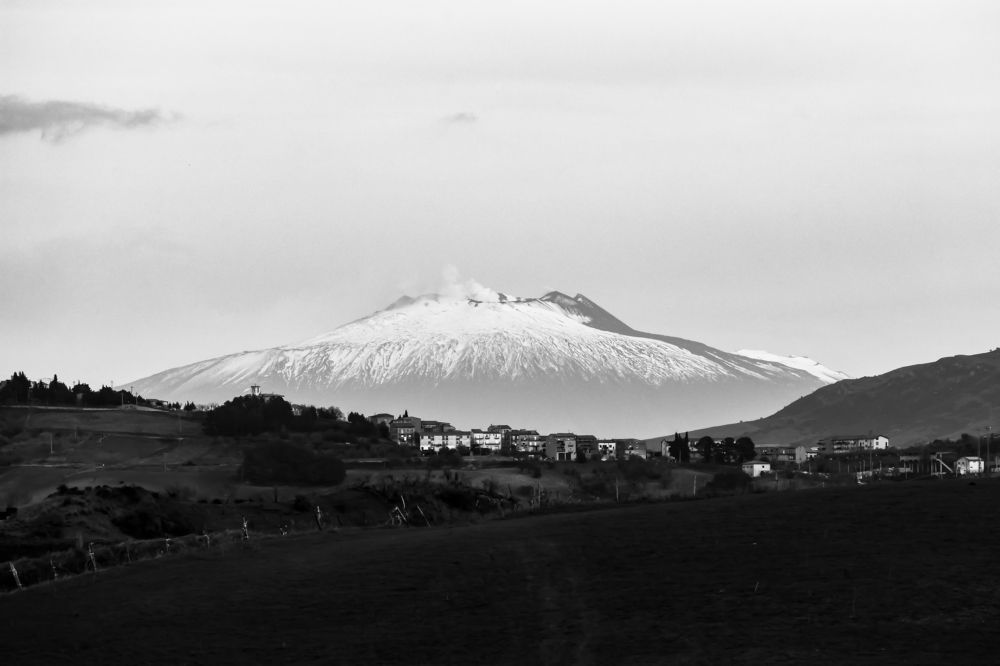 Photograph by Teresa Molinaro